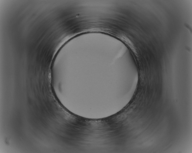 X0000091701428200709210913