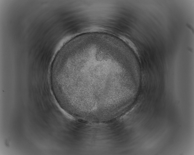 X0000091701429200709210913