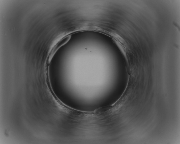 X0000091701430200709210913