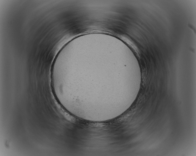 X0000091701431200709210913