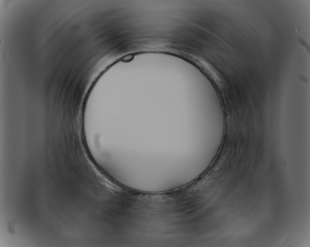 X0000091701432200709210913