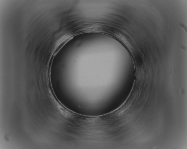 X0000091701434200709210913