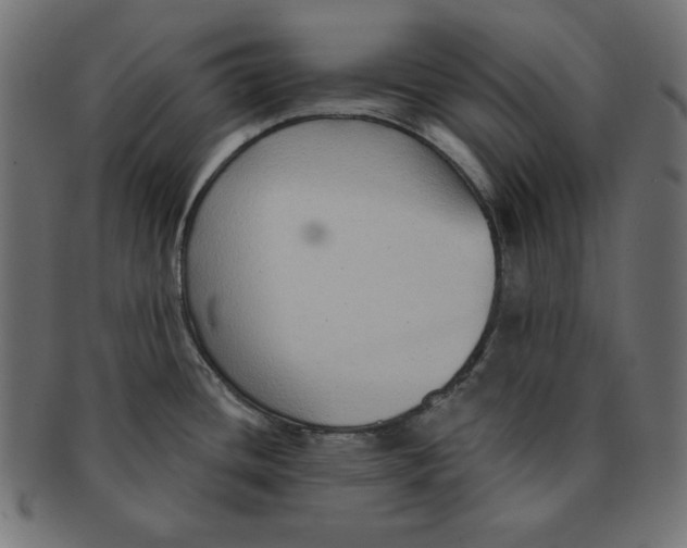 X0000091701436200709210913