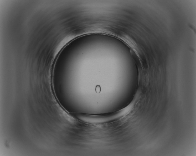 X0000091701438200709210913