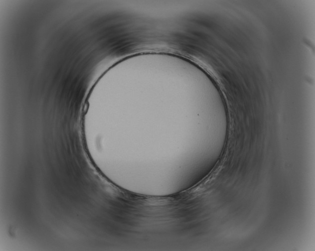 X0000091701440200709210913