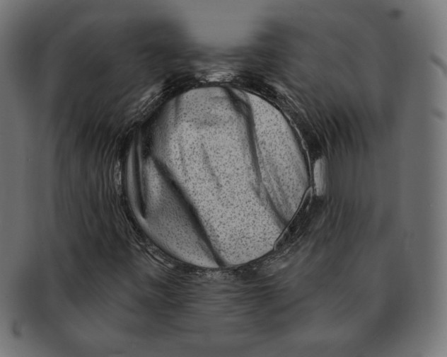 X0000091701443200709210912