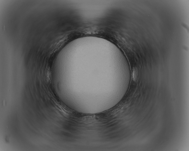 X0000091701444200709210912