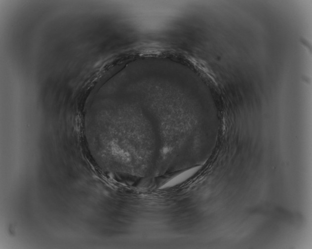 X0000091701445200709210912