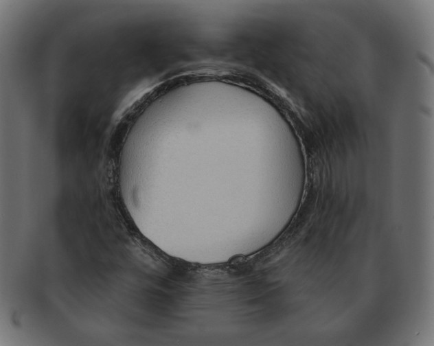 X0000091701448200709210912