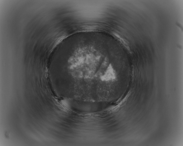 X0000091701449200709210912