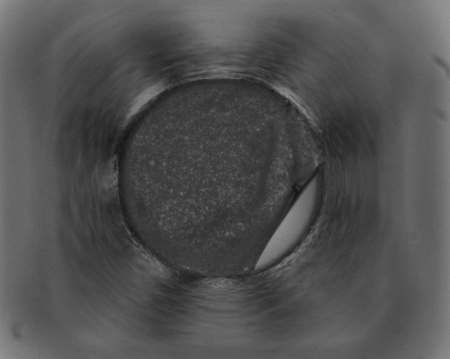 X0000091701450200709210912