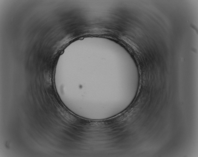 X0000091701451200709210912