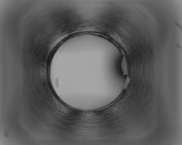 X0000091701452200709210912