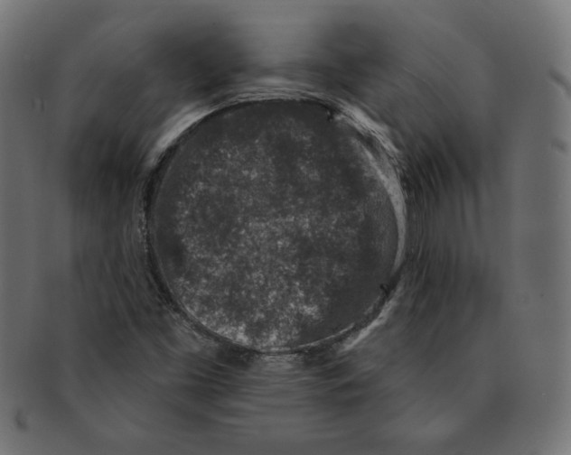 X0000091701453200709210912