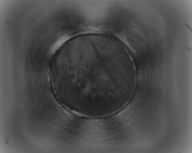 X0000091701455200709210912