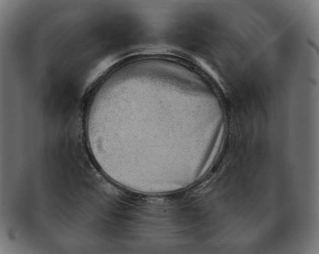 X0000091701456200709210912