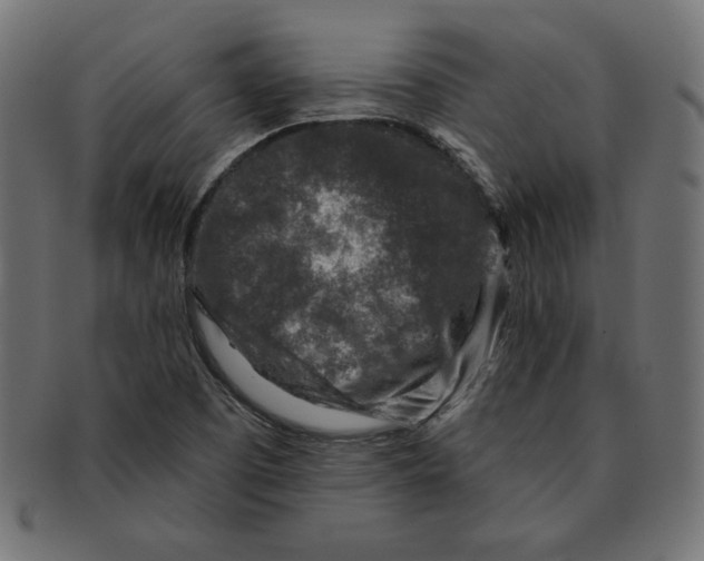 X0000091701457200709210912