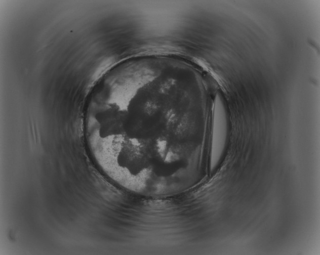 X0000091701459200709210912