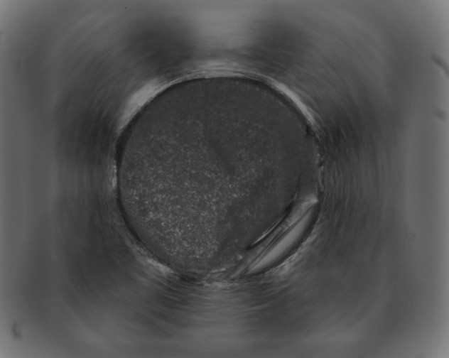 X0000091701461200709210912