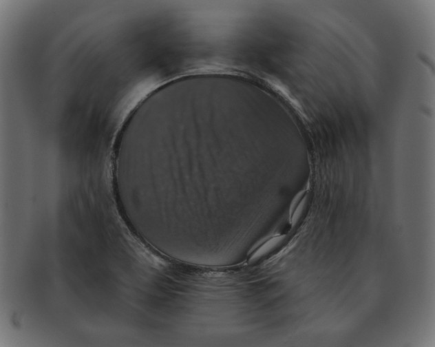 X0000091701463200709210912