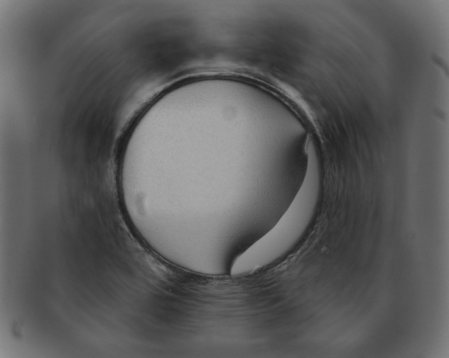 X0000091701464200709210912