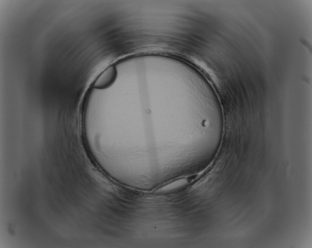 X0000091701467200709210912