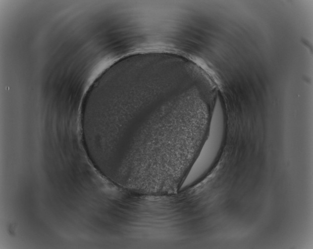 X0000091701469200709210912