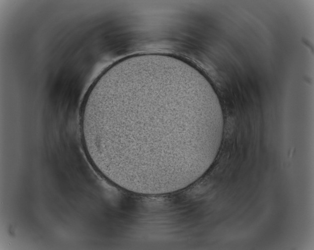 X0000091701470200709210912