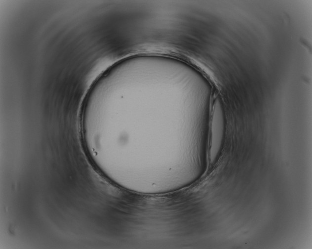 X0000091701471200709210912