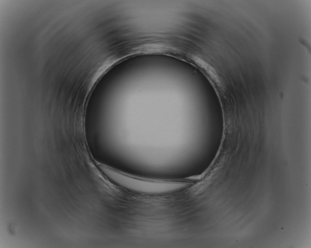 X0000091701473200709210912