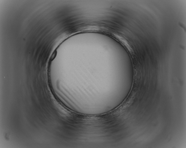 X0000091701475200709210912