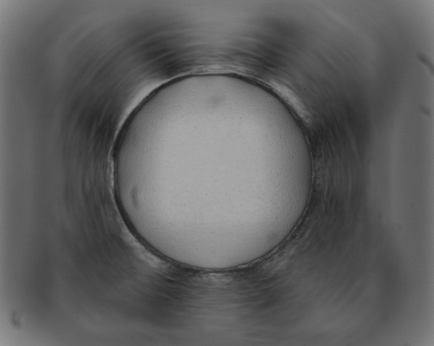 X0000091701476200709210912