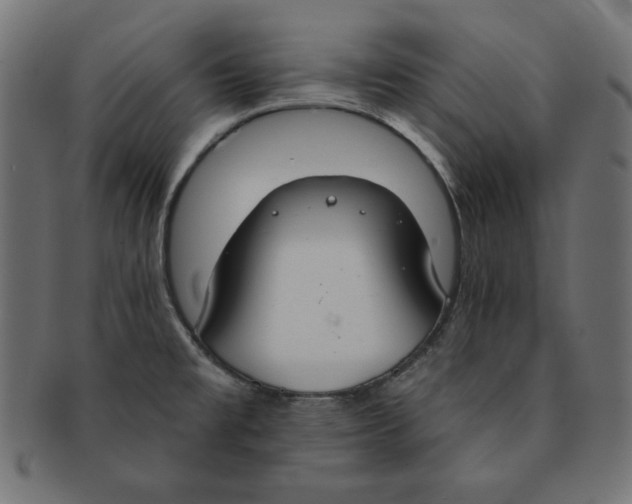 X0000091701477200709210912