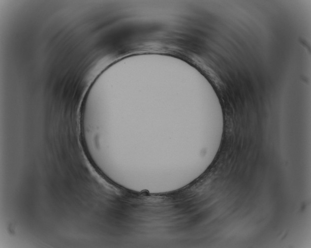 X0000091701479200709210912