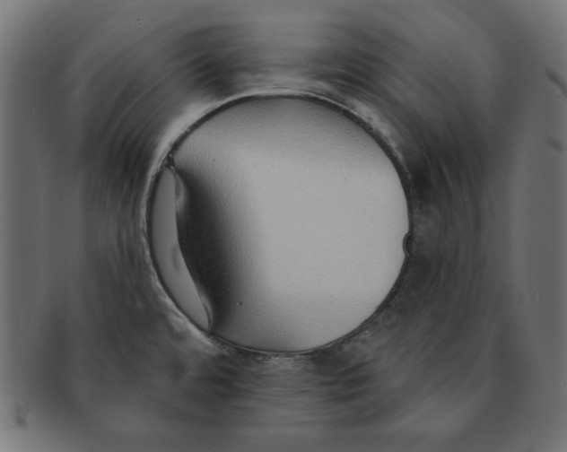 X0000091701480200709210912