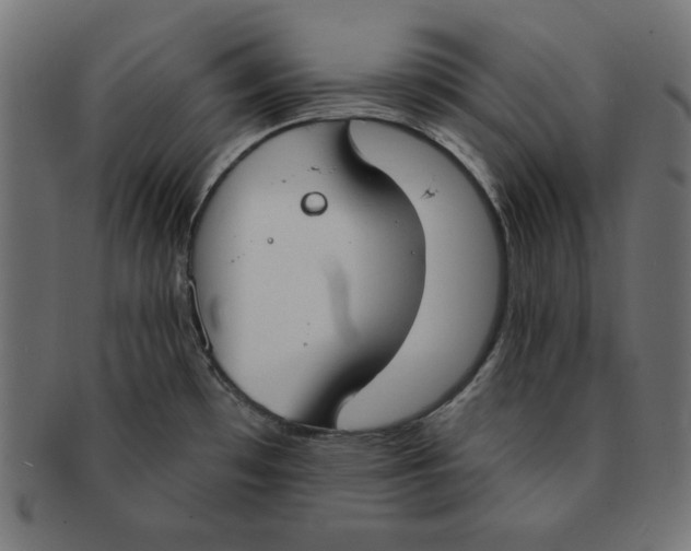 X0000091701481200709210912