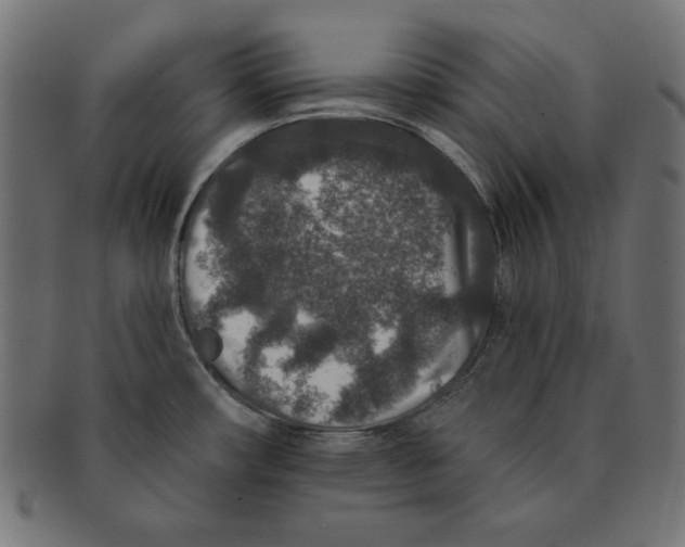 X0000091701482200709210912