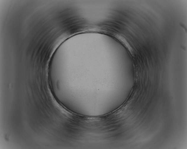 X0000091701483200709210912