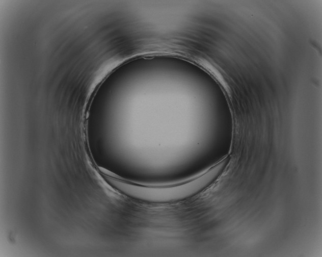 X0000091701485200709210912