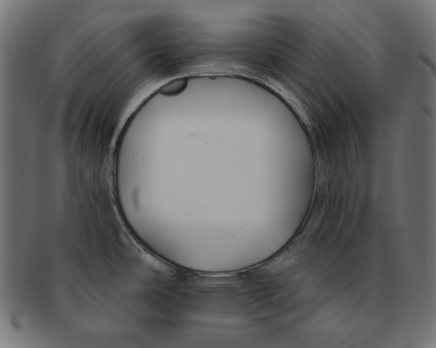 X0000091701486200709210912