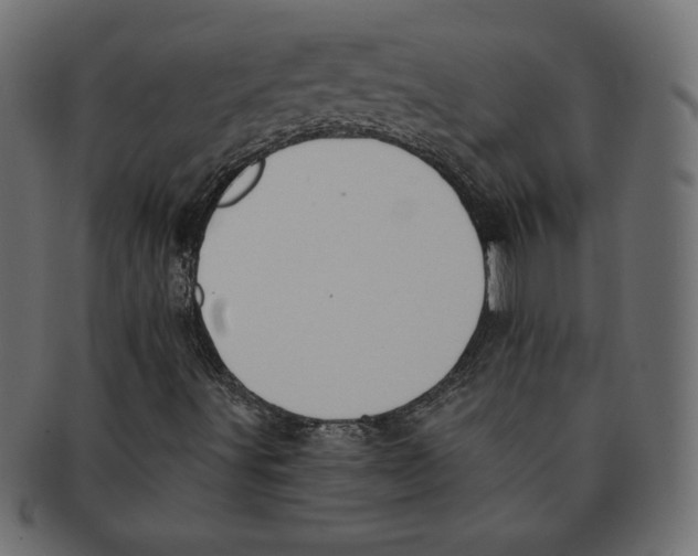 X0000091701491200709210911