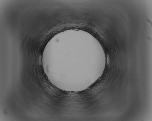 X0000091701492200709210911