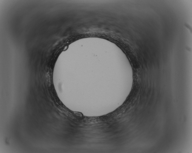 X0000091701493200709210911