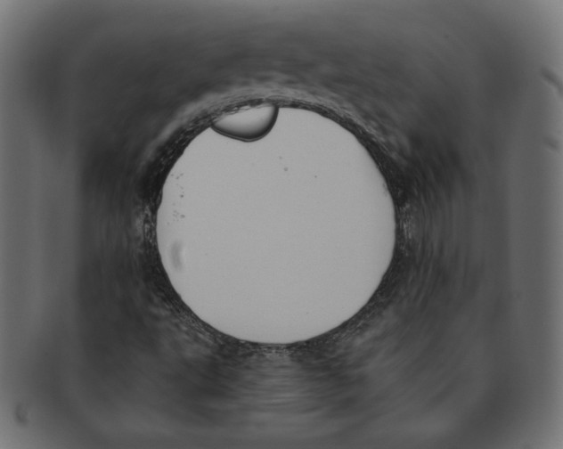 X0000091701495200709210911