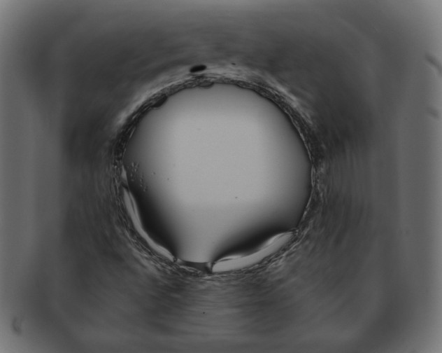 X0000091701496200709210911