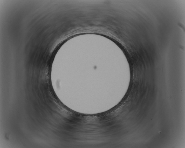 X0000091701498200709210911