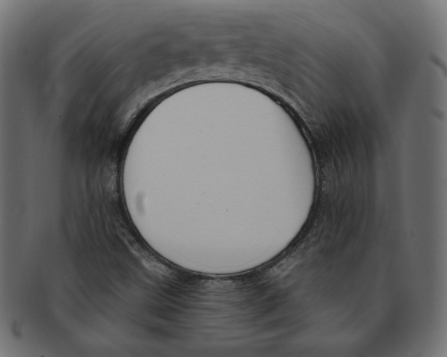 X0000091701499200709210911