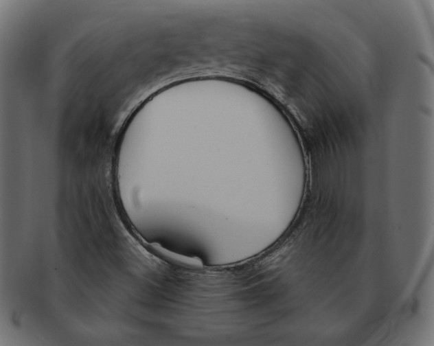 X0000091701500200709210911