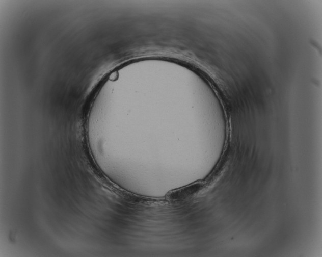 X0000091701501200709210911