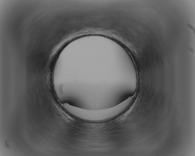 X0000091701502200709210911